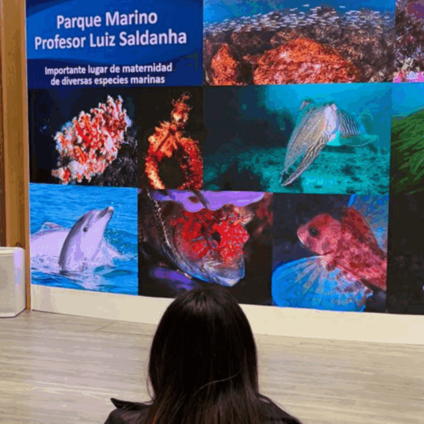 Arrábida Biosfera marca presença na FITUR – Feira Internacional de Turismo